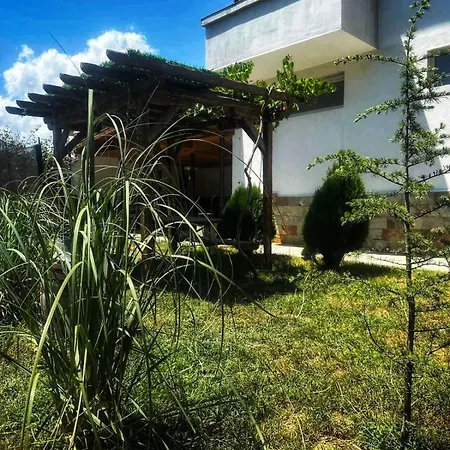 боровата къща