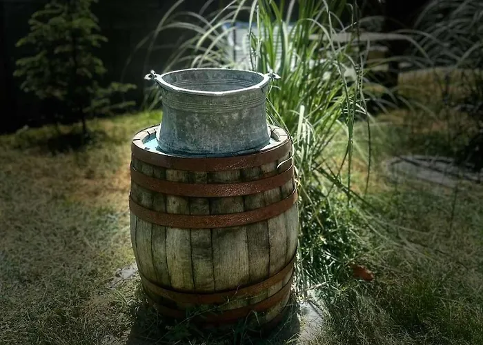 боровата къща