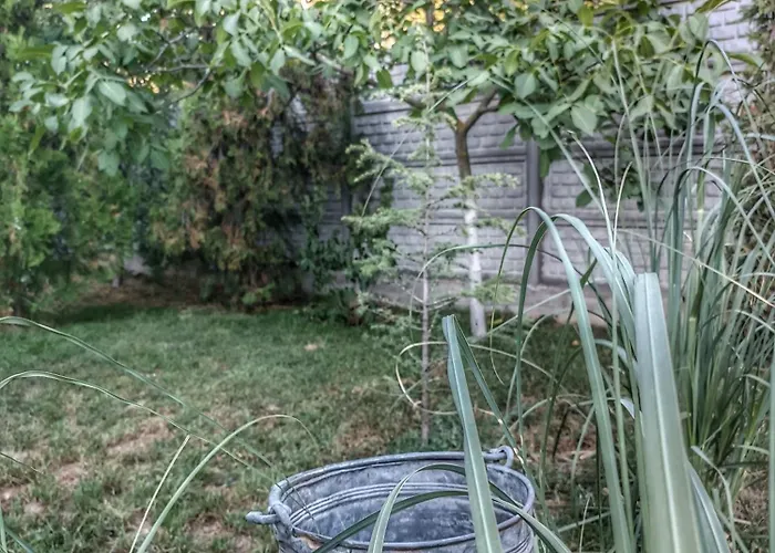 боровата къща Vendégház