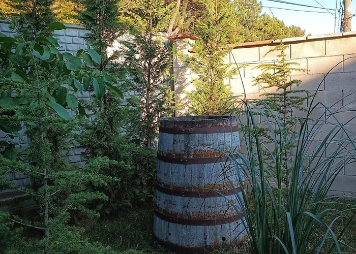 боровата къща בית הארחה