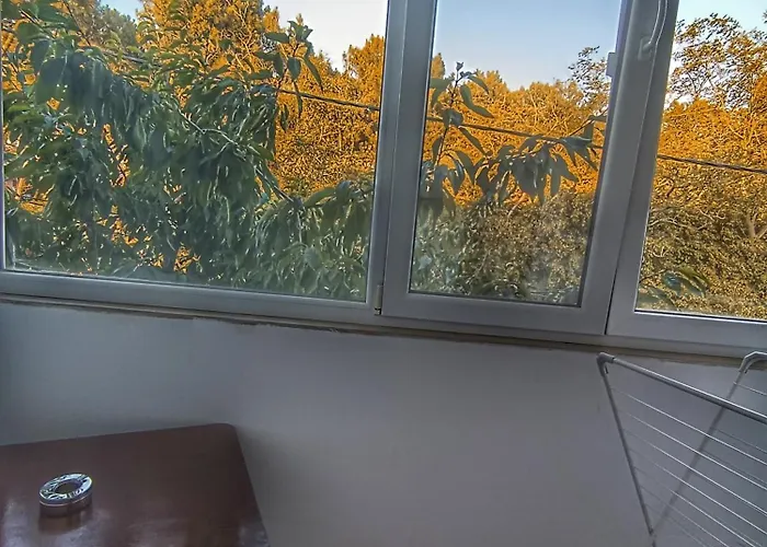 боровата къща וארנה