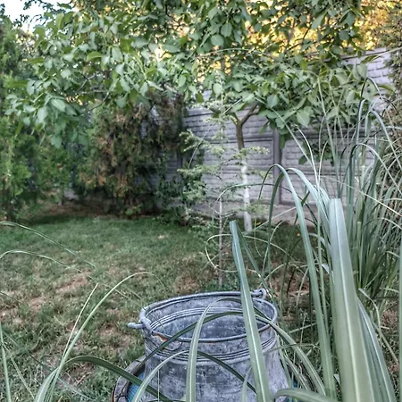 боровата къща Gasthof