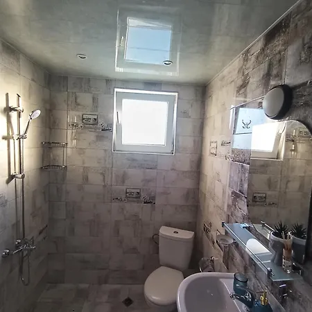 боровата къща *