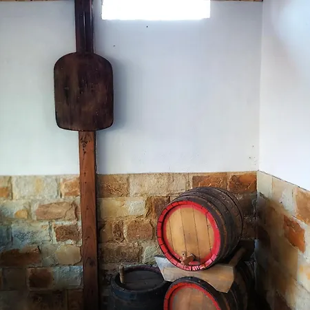 боровата къща * Warna