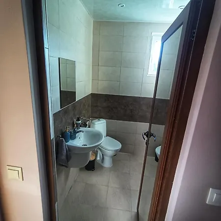 боровата къща *