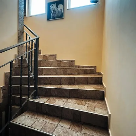 боровата къща