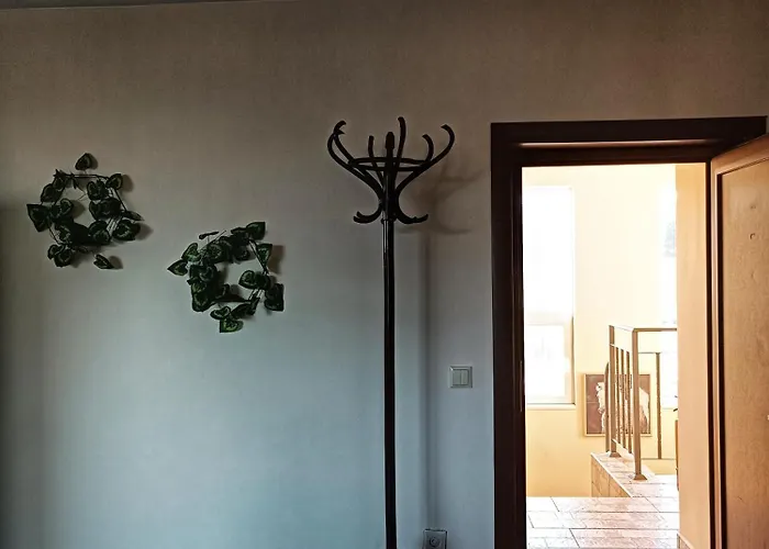 боровата къща