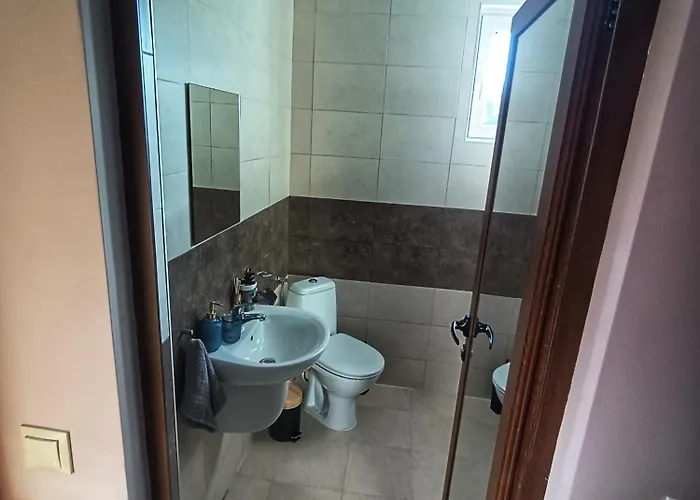 боровата къща *