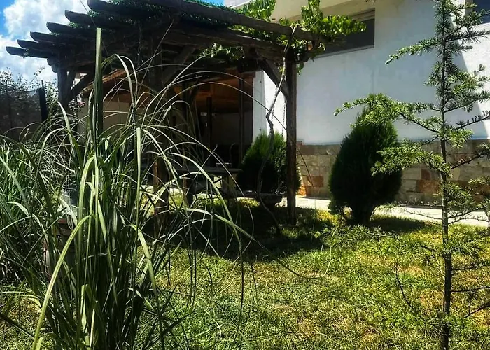 боровата къща